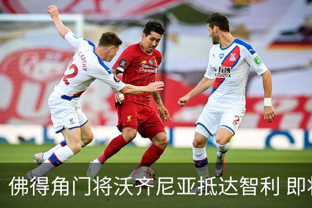 佛得角门将沃齐尼亚抵达智利 即将加盟联赛豪门(组图)